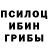 Псилоцибиновые грибы мухоморы Mourad Fahd
