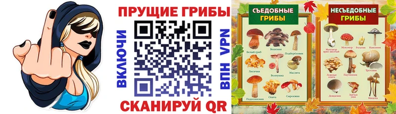 сколько стоит  Уяр  мега как войти  Галлюциногенные грибы прущие грибы 